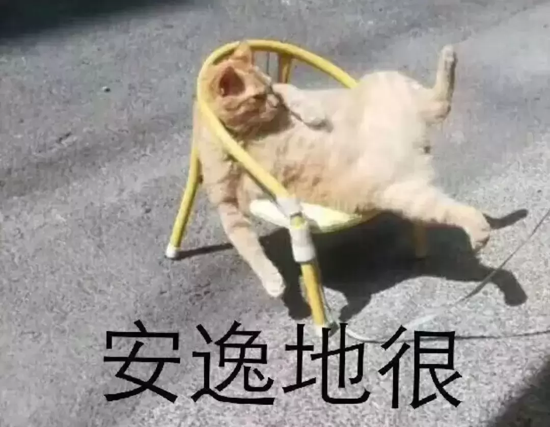 新手怎么选择飞机杯（科普挑选飞机杯的正确方式以及注意事项）