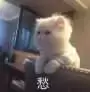 知道飞机杯长什么样吗（飞机杯是在真人的基础上模拟制作的）