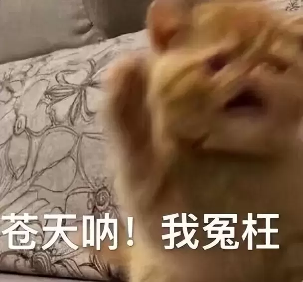 成年大学生怎么选择适合的飞机杯（分享学生党也能拥有的飞机杯）