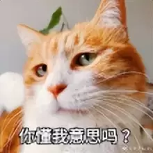 你真的懂飞机杯吗（告诉你为何选择飞机杯以及6个购买的理由）