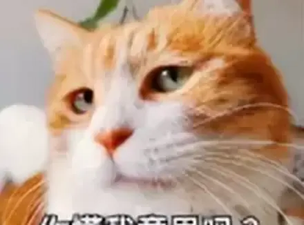 你真的懂飞机杯吗（告诉你为何选择飞机杯以及6个购买的理由）