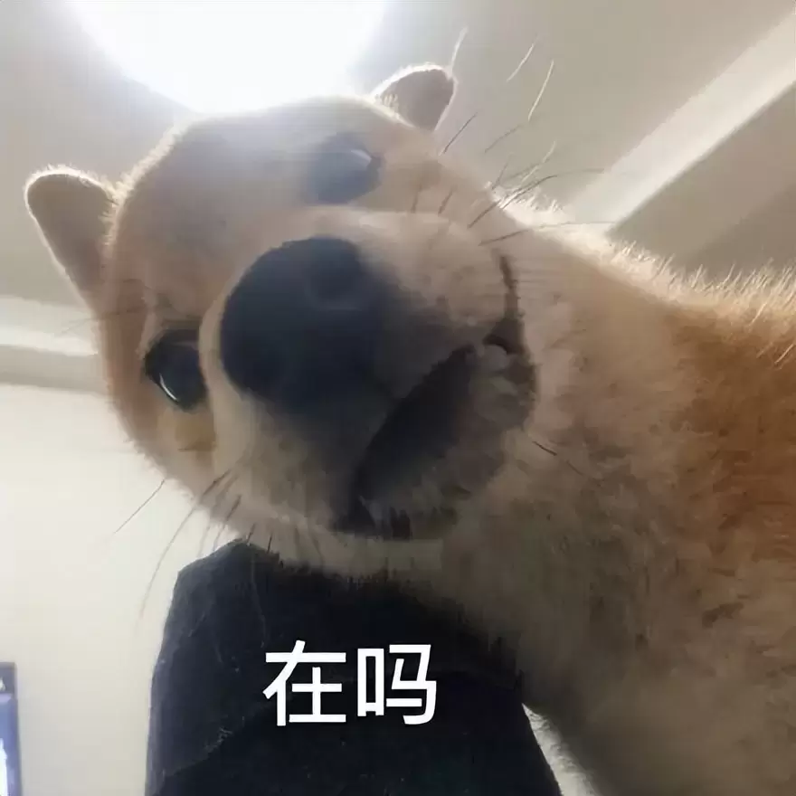 为什么我会推荐宿友购买飞机杯（飞机杯就是拿来纾解释放欲望的）
