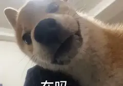 为什么我会推荐宿友购买飞机杯（飞机杯就是拿来纾解释放欲望的）