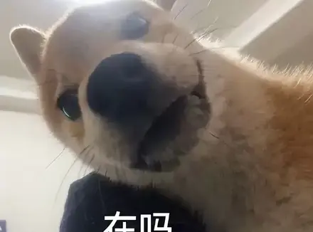 为什么我会推荐宿友购买飞机杯（飞机杯就是拿来纾解释放欲望的）