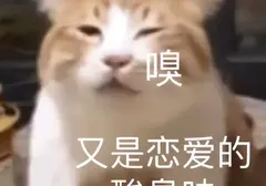 情人节单身男士都和飞机杯过嘛（追求快乐首选飞机杯）