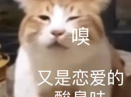 情人节单身男士都和飞机杯过嘛（追求快乐首选飞机杯）