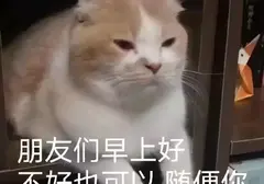 学长有女朋友也买飞机杯吗（有女友后还挑选和购买飞机杯的原因）