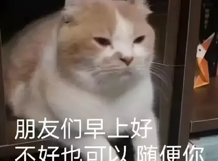 学长有女朋友也买飞机杯吗（有女友后还挑选和购买飞机杯的原因）