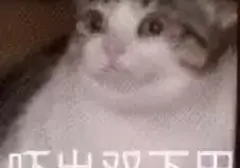 第一次买飞机杯什么都不懂怎么办（老司机谈这些年玩飞机杯的感受）