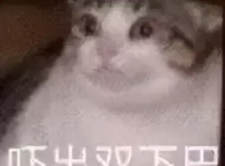 第一次买飞机杯什么都不懂怎么办（老司机谈这些年玩飞机杯的感受）