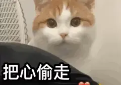 单身的朋友还没用过飞机杯吗（飞机杯可以体验实战的感觉）