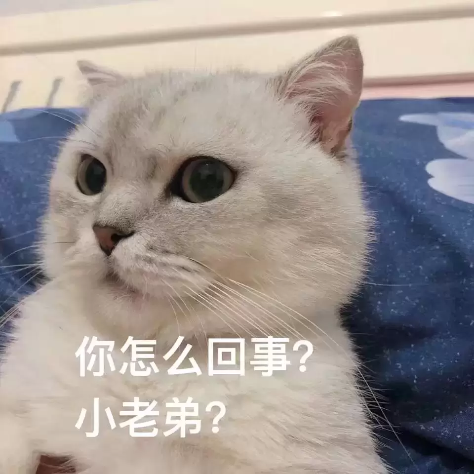飞机杯跟真人实战哪个更爽（推荐三款超爽的飞机杯）