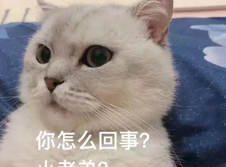 飞机杯跟真人实战哪个更爽（推荐三款超爽的飞机杯）