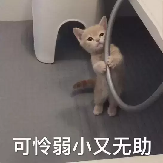 飞机杯怎么用（飞机杯的一些使用步骤分享）
