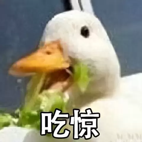 使用飞机杯需要注意什么（玩飞机杯新人必知的四点注意事项）