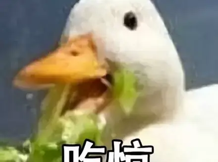 使用飞机杯需要注意什么（玩飞机杯新人必知的四点注意事项）
