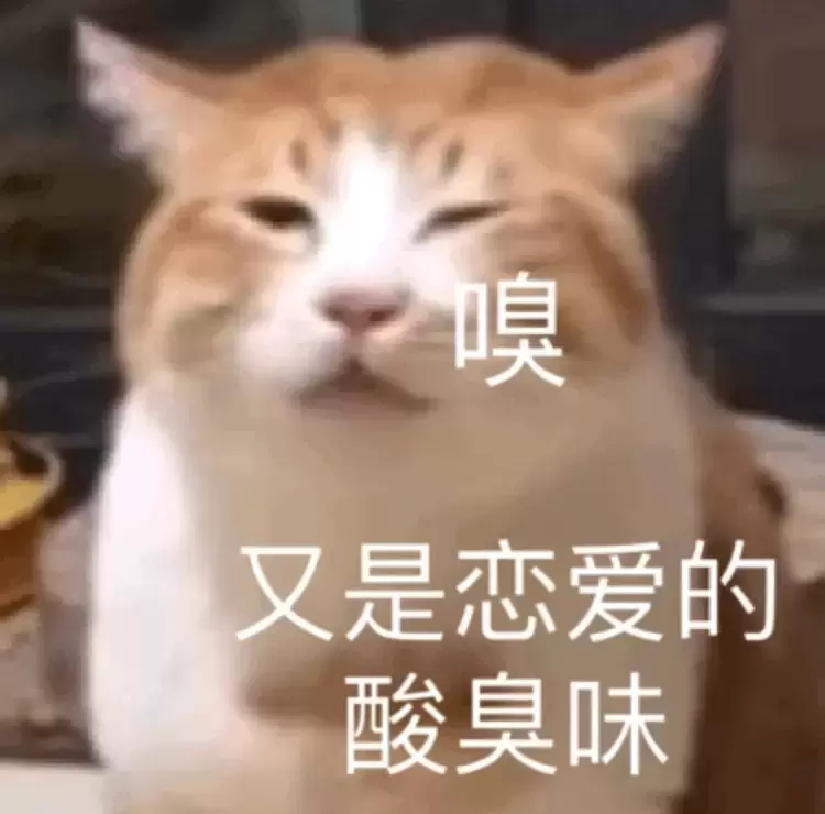 如何体验到年年换女朋友的感觉（老司机选择YUU双子同欢飞机杯）