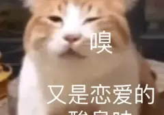 如何体验到年年换女朋友的感觉（老司机选择YUU双子同欢飞机杯）