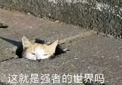 如今很多人没有正确了解飞机杯（杯龄7年老司机教你正确认识飞机杯）