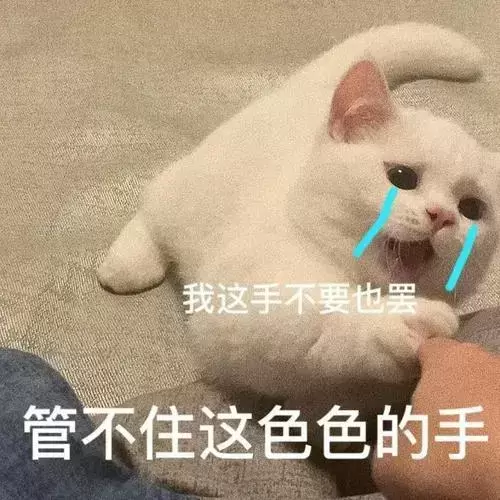 如何辨别你所使用的飞机杯是否是二手（辨别飞机杯真假教程）