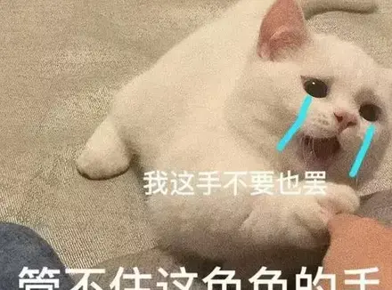 如何辨别你所使用的飞机杯是否是二手（辨别飞机杯真假教程）