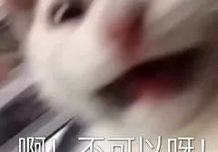 一位女性朋友深夜向我询问飞机杯的秘密（送男朋友的飞机杯推荐）