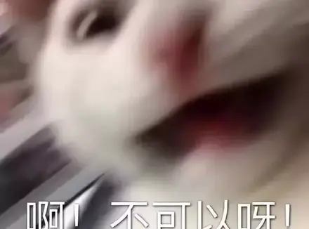 一位女性朋友深夜向我询问飞机杯的秘密（送男朋友的飞机杯推荐）