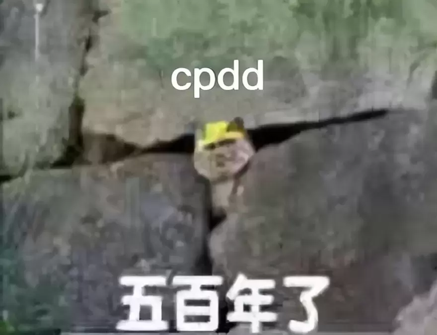 你为什么不试试飞机杯呢（教你挑选自己适合的飞机杯）