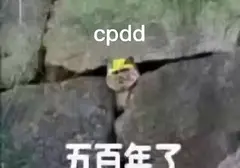 你为什么不试试飞机杯呢（教你挑选自己适合的飞机杯）