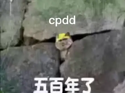你为什么不试试飞机杯呢（教你挑选自己适合的飞机杯）