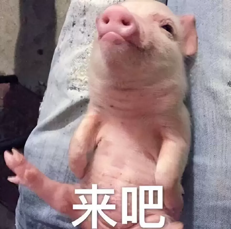 黑洞全自动加热飞机杯好用吗（网易春风黑洞变速伸缩飞机杯评测）