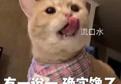 如何选择性价比很高的飞机杯（请先牢记飞机杯便宜没好货）