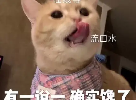 如何选择性价比很高的飞机杯（请先牢记飞机杯便宜没好货）