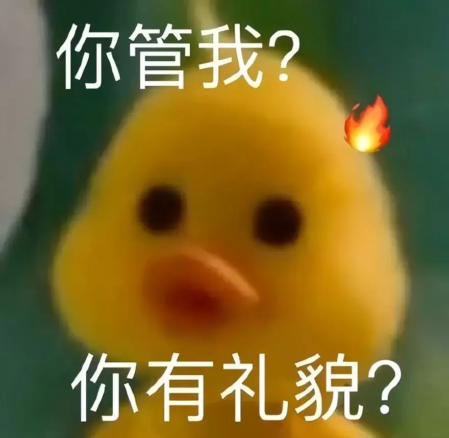 教你挑选到自己喜爱的飞机杯（看这一篇文章就能了解飞机杯的知识了）