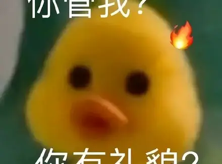 教你挑选到自己喜爱的飞机杯（看这一篇文章就能了解飞机杯的知识了）