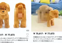 你所不知道的飞机杯冷知识