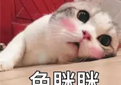飞机杯自制的好用吗（老司机教你正确使用飞机杯的操作）