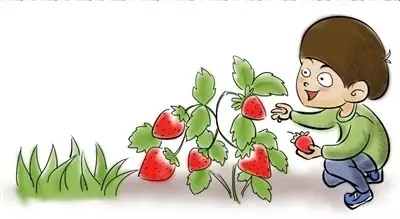 性生活在哪种草莓最性感（敏感部位种草莓）