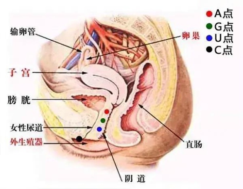 A点