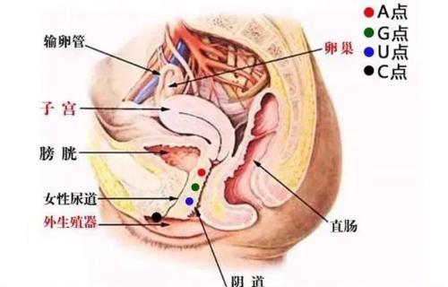 各种各样的点，你知道吗