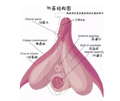 女性有哪些快乐的方式