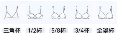 挑選杯型