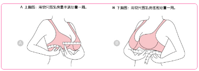 胸部下緣的尺寸