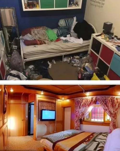 环境因素