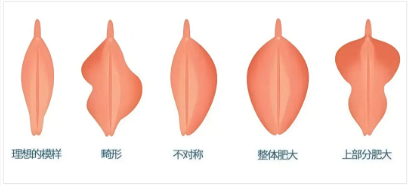 妇产科学杂志