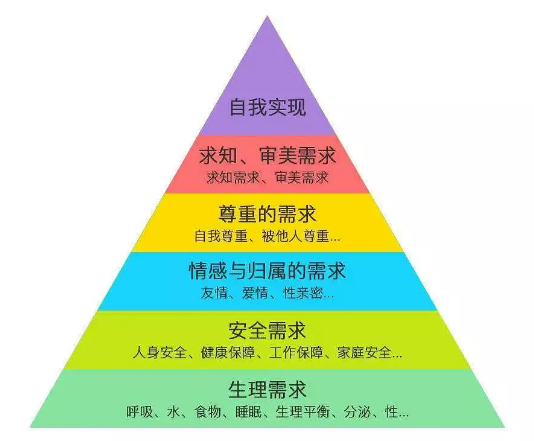 情感与归属感需求