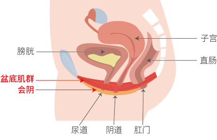 收缩和放松